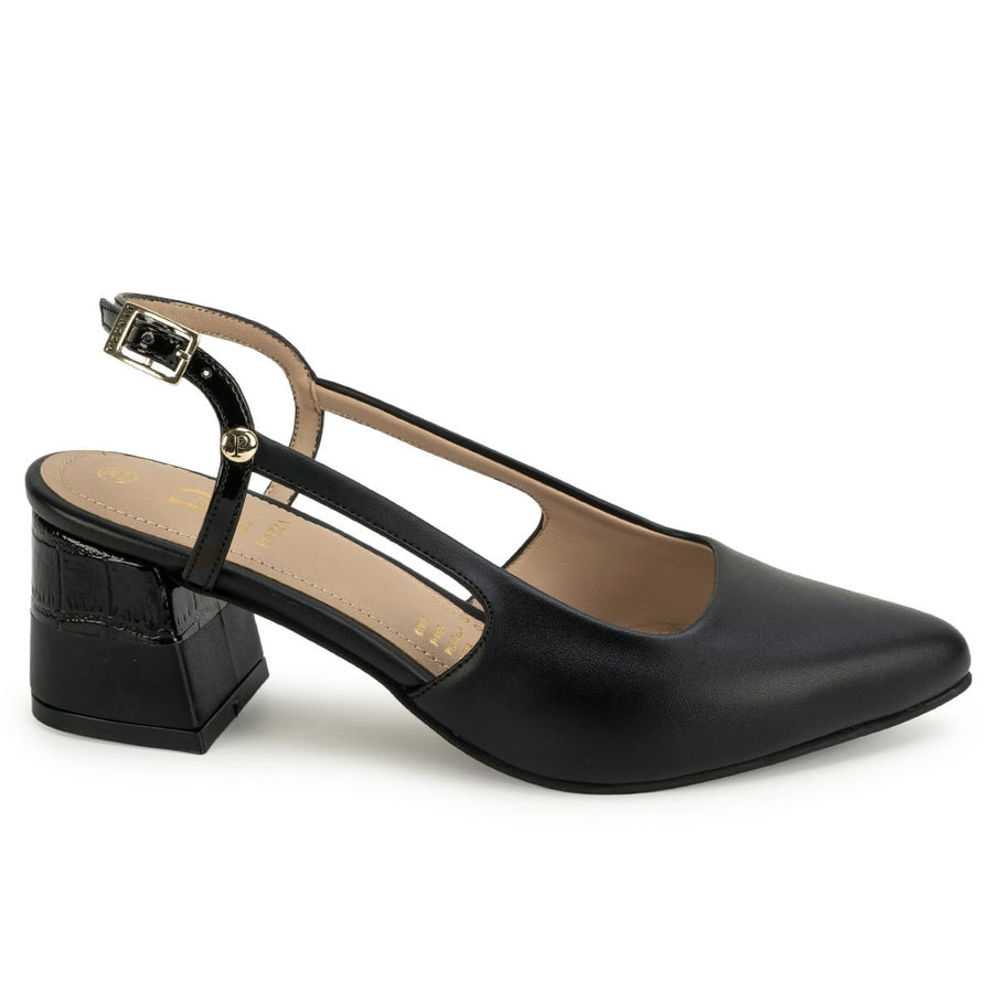 Zapato Elegante