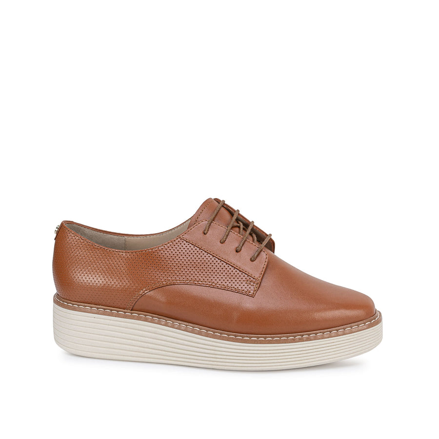 Zapato Premium