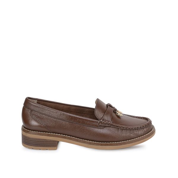 Zapato Studio