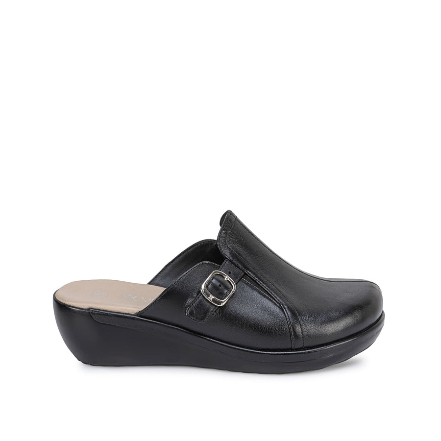 Zapato Signature
